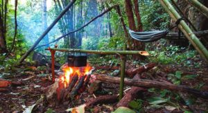 Stage_survie